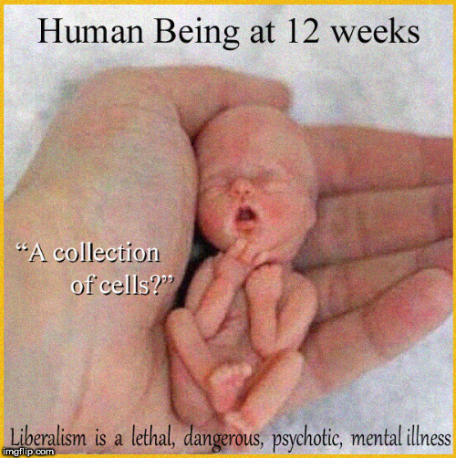 wanna see a neat trick? | . | image tagged in abortion is murder,fetus,political meme,triggered liberal,current events,alabama | made w/ Imgflip meme maker