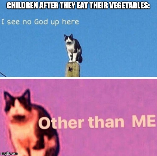 Hail pole cat | CHILDREN AFTER THEY EAT THEIR VEGETABLES: | image tagged in hail pole cat | made w/ Imgflip meme maker