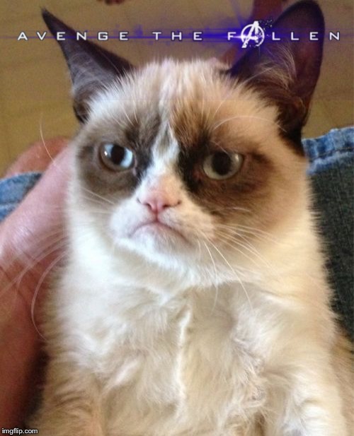 Grumpy Cat | image tagged in memes,grumpy cat | made w/ Imgflip meme maker