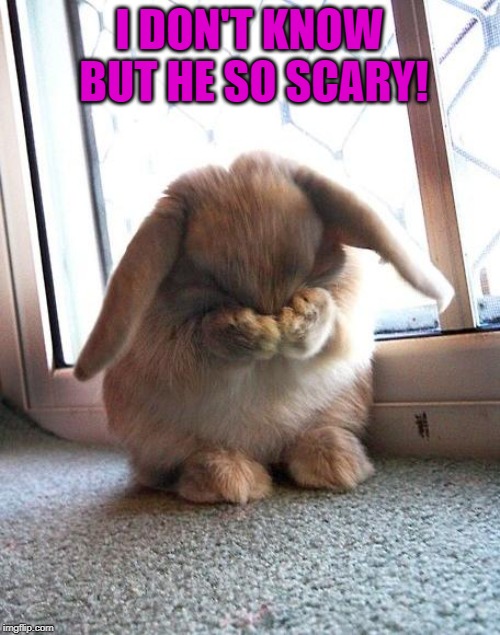 embarrassed bunny | I DON'T KNOW BUT HE SO SCARY! | image tagged in embarrassed bunny | made w/ Imgflip meme maker