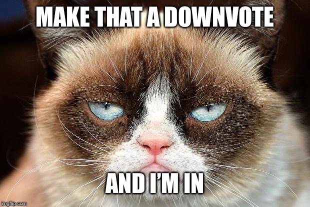 Grumpy Cat Not Amused Meme | MAKE THAT A DOWNVOTE AND I’M IN | image tagged in memes,grumpy cat not amused,grumpy cat | made w/ Imgflip meme maker