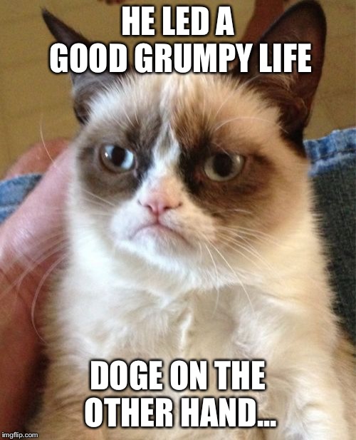 Grumpy Cat | HE LED A GOOD GRUMPY LIFE; DOGE ON THE OTHER HAND... | image tagged in memes,grumpy cat | made w/ Imgflip meme maker