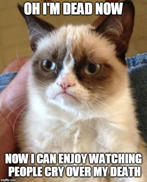 what grumpy cat thinks about her death | OH I'M DEAD NOW; NOW I CAN ENJOY WATCHING PEOPLE CRY OVER MY DEATH | image tagged in memes,grumpy cat,rip grumpy cat | made w/ Imgflip meme maker