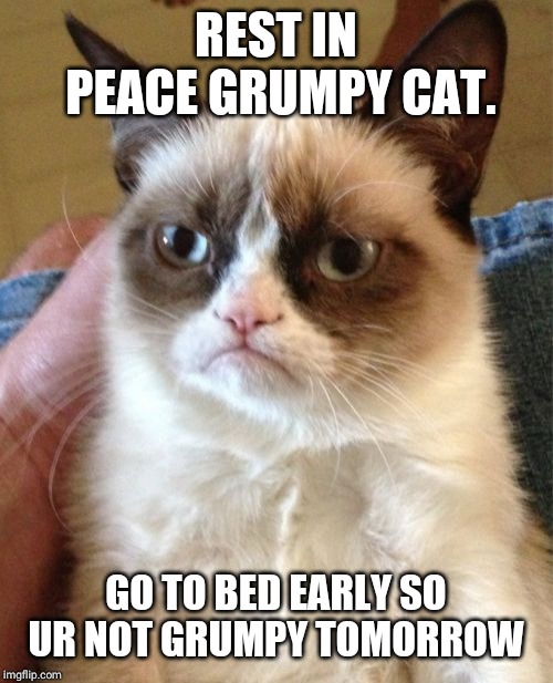 Grumpy Cat Meme | REST IN PEACE GRUMPY CAT. GO TO BED EARLY SO UR NOT GRUMPY TOMORROW | image tagged in memes,grumpy cat | made w/ Imgflip meme maker