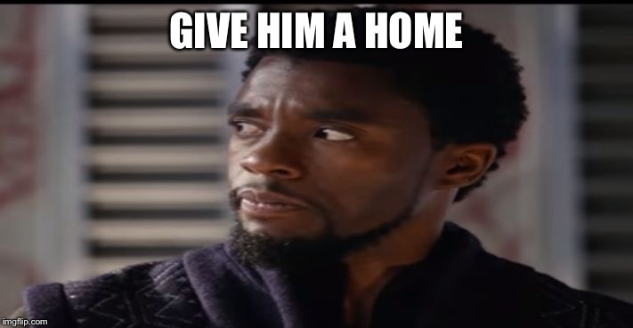 "Give him" Black Panther | GIVE HIM A HOME | image tagged in give him black panther | made w/ Imgflip meme maker