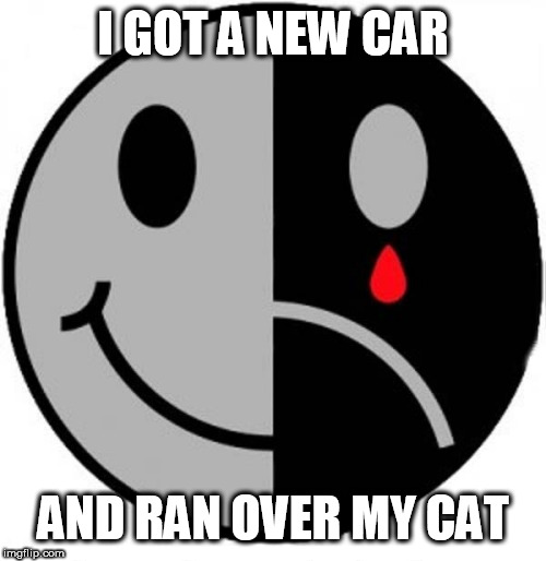 face happy sad | I GOT A NEW CAR; AND RAN OVER MY CAT | image tagged in face happy sad | made w/ Imgflip meme maker