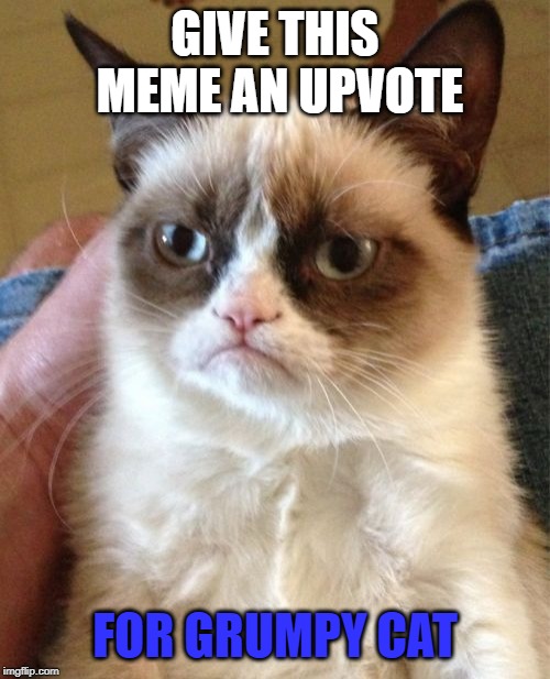 Grumpy Cat Meme | GIVE THIS MEME AN UPVOTE; FOR GRUMPY CAT | image tagged in memes,grumpy cat | made w/ Imgflip meme maker