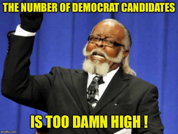 Too Damn High | THE NUMBER OF DEMOCRAT CANDIDATES; IS TOO DAMN HIGH ! | image tagged in memes,too damn high | made w/ Imgflip meme maker