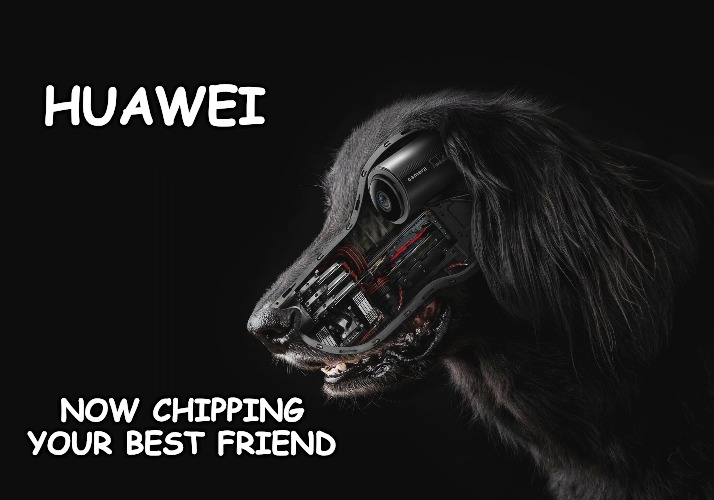 Huawei 5G K9... | HUAWEI; NOW CHIPPING YOUR BEST FRIEND | image tagged in huawei | made w/ Imgflip meme maker