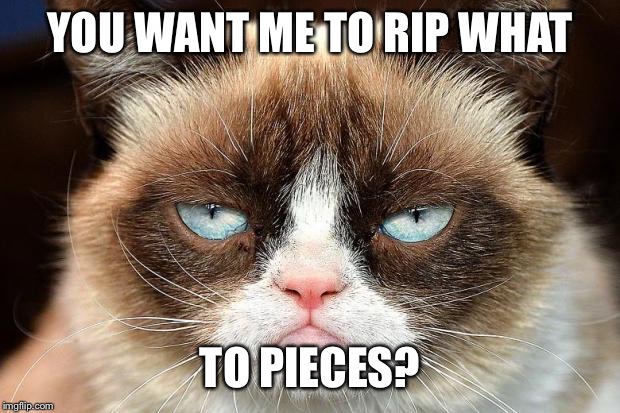 Grumpy Cat Not Amused Meme | YOU WANT ME TO RIP WHAT TO PIECES? | image tagged in memes,grumpy cat not amused,grumpy cat | made w/ Imgflip meme maker