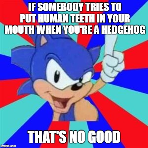 Sonic sez | IF SOMEBODY TRIES TO PUT HUMAN TEETH IN YOUR MOUTH WHEN YOU'RE A HEDGEHOG; THAT'S NO GOOD | image tagged in sonic sez | made w/ Imgflip meme maker