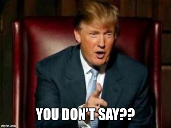 Donald Trump | YOU DON’T SAY?? | image tagged in donald trump | made w/ Imgflip meme maker