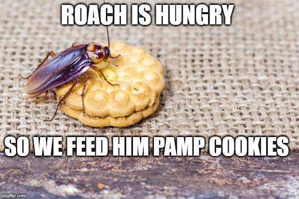 ROACH IS HUNGRY; SO WE FEED HIM PAMP COOKIES | made w/ Imgflip meme maker