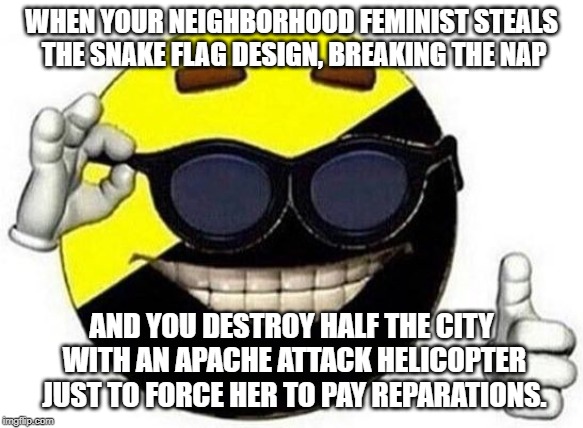ancap memes 1 | WHEN YOUR NEIGHBORHOOD FEMINIST STEALS THE SNAKE FLAG DESIGN, BREAKING THE NAP AND YOU DESTROY HALF THE CITY WITH AN APACHE ATTACK HELICOPTE | image tagged in ancap ball | made w/ Imgflip meme maker
