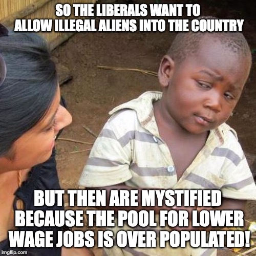 Third World Skeptical Kid | SO THE LIBERALS WANT TO ALLOW ILLEGAL ALIENS INTO THE COUNTRY; BUT THEN ARE MYSTIFIED BECAUSE THE POOL FOR LOWER WAGE JOBS IS OVER POPULATED! | image tagged in memes,third world skeptical kid | made w/ Imgflip meme maker