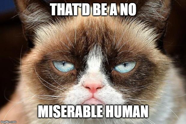 Grumpy Cat Not Amused Meme | THAT'D BE A NO MISERABLE HUMAN | image tagged in memes,grumpy cat not amused,grumpy cat | made w/ Imgflip meme maker