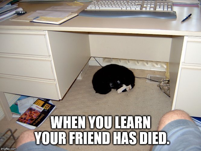 Kitty in mourning. | WHEN YOU LEARN YOUR FRIEND HAS DIED. | image tagged in cat misses grumpy cat | made w/ Imgflip meme maker