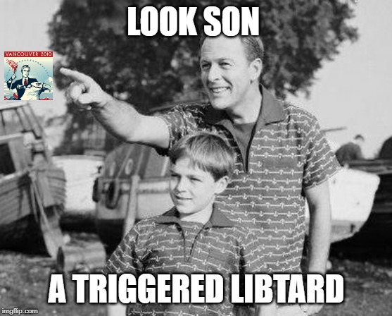 Look Son Meme | LOOK SON; A TRIGGERED LIBTARD | image tagged in memes,look son | made w/ Imgflip meme maker