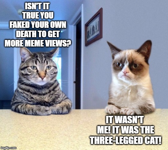 Take a seat cat and grumpy cat review | ISN'T IT TRUE YOU FAKED YOUR OWN DEATH TO GET MORE MEME VIEWS? IT WASN'T ME! IT WAS THE THREE-LEGGED CAT! | image tagged in take a seat cat and grumpy cat review | made w/ Imgflip meme maker