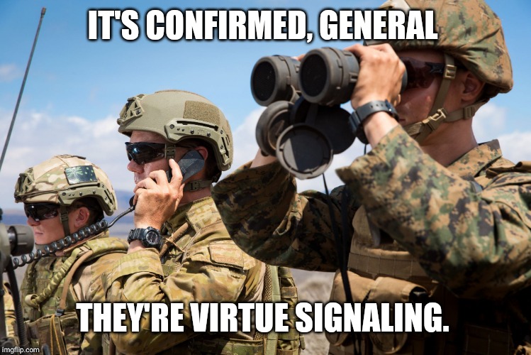 USMC Australian Army Soldiers Radio binoculars lookout | IT'S CONFIRMED, GENERAL; THEY'RE VIRTUE SIGNALING. | image tagged in usmc australian army soldiers radio binoculars lookout | made w/ Imgflip meme maker
