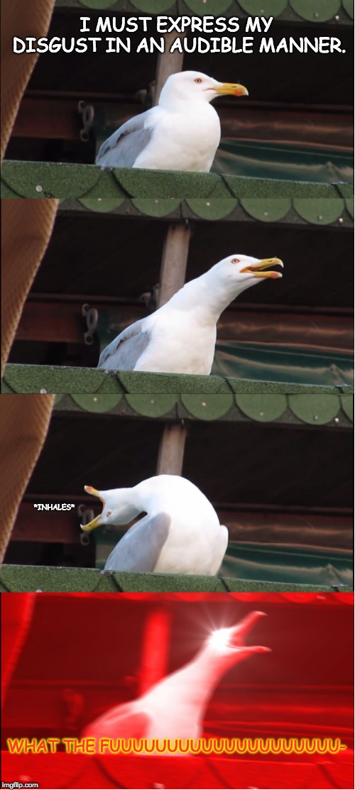 Inhaling Seagull | I MUST EXPRESS MY DISGUST IN AN AUDIBLE MANNER. *INHALES*; WHAT THE FUUUUUUUUUUUUUUUUUUUU- | image tagged in memes,inhaling seagull | made w/ Imgflip meme maker