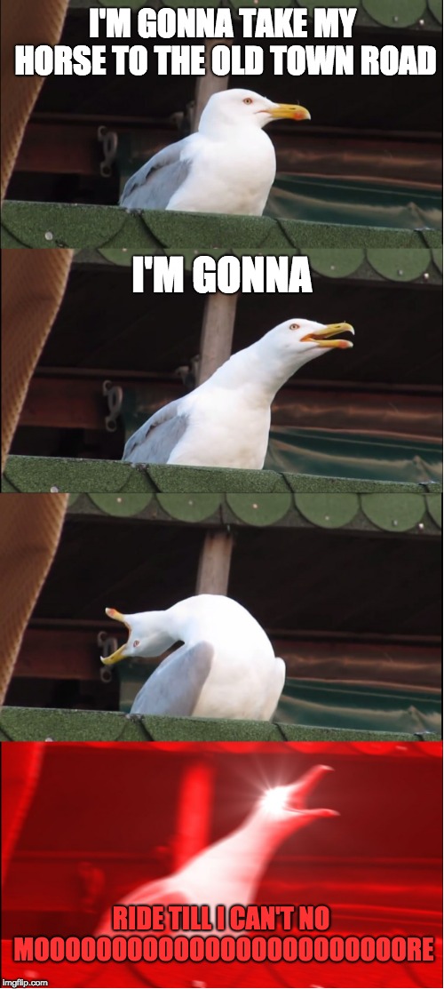 Inhaling Seagull Meme | I'M GONNA TAKE MY HORSE TO THE OLD TOWN ROAD; I'M GONNA; RIDE TILL I CAN'T NO MOOOOOOOOOOOOOOOOOOOOOOOORE | image tagged in memes,inhaling seagull | made w/ Imgflip meme maker