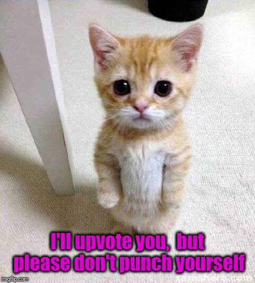Cute Cat Meme | I'll upvote you,  but please don't punch yourself | image tagged in memes,cute cat | made w/ Imgflip meme maker