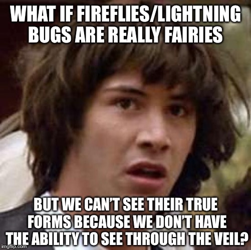 Conspiracy Keanu Meme | WHAT IF FIREFLIES/LIGHTNING BUGS ARE REALLY FAIRIES; BUT WE CAN’T SEE THEIR TRUE FORMS BECAUSE WE DON’T HAVE THE ABILITY TO SEE THROUGH THE VEIL? | image tagged in memes,conspiracy keanu | made w/ Imgflip meme maker