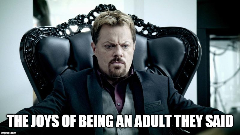 THE JOYS OF BEING AN ADULT THEY SAID | made w/ Imgflip meme maker