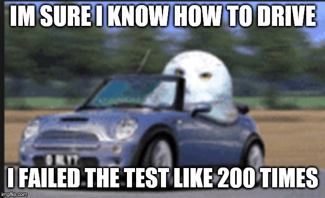 hoot is driving | IM SURE I KNOW HOW TO DRIVE; I FAILED THE TEST LIKE 200 TIMES | image tagged in hoot is driving | made w/ Imgflip meme maker