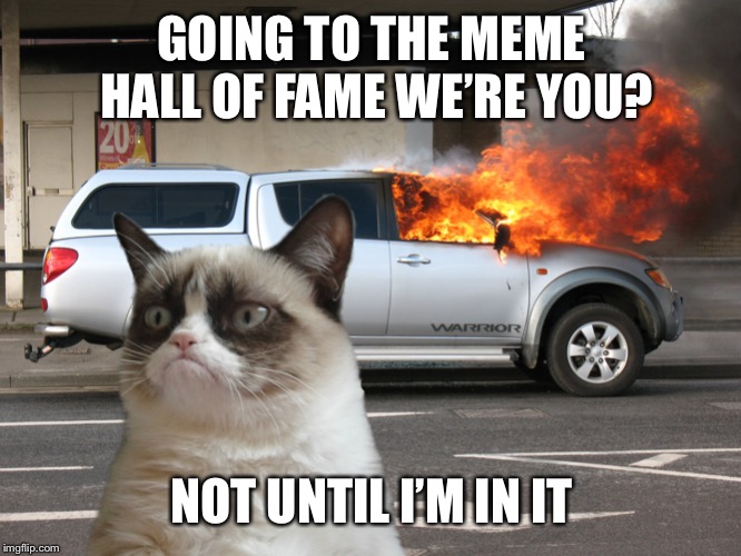 Grumpy Cat Fire Car | GOING TO THE MEME HALL OF FAME WE’RE YOU? NOT UNTIL I’M IN IT | image tagged in grumpy cat fire car | made w/ Imgflip meme maker