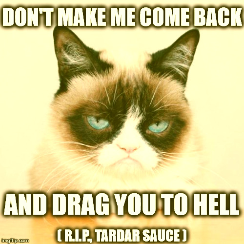 Don't Make Me Come Back and Get You | DON'T MAKE ME COME BACK; AND DRAG YOU TO HELL; ( R.I.P., TARDAR SAUCE ) | image tagged in grumpy cat again | made w/ Imgflip meme maker