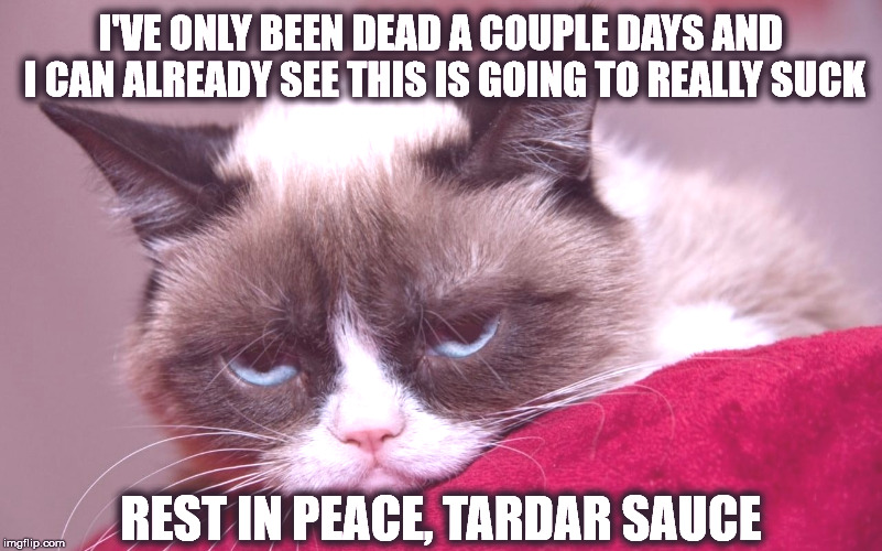Being dead sucks. | I'VE ONLY BEEN DEAD A COUPLE DAYS AND I CAN ALREADY SEE THIS IS GOING TO REALLY SUCK; REST IN PEACE, TARDAR SAUCE | image tagged in grumpy cat,rip grumpy cat | made w/ Imgflip meme maker