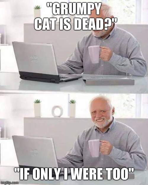 Hide the Pain Harold | "GRUMPY CAT IS DEAD?"; "IF ONLY I WERE TOO" | image tagged in memes,hide the pain harold | made w/ Imgflip meme maker