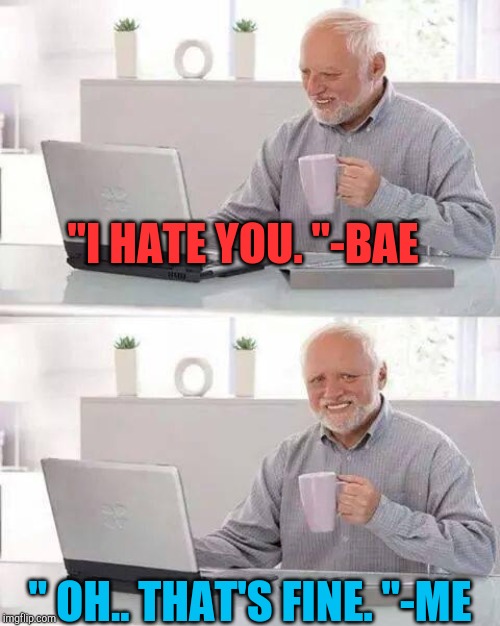 Hide the Pain Harold Meme | "I HATE YOU. "-BAE; " OH.. THAT'S FINE. "-ME | image tagged in memes,hide the pain harold | made w/ Imgflip meme maker