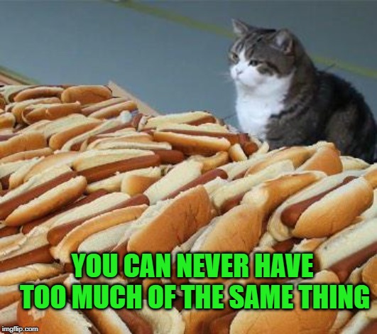 Too many hot dogs | YOU CAN NEVER HAVE TOO MUCH OF THE SAME THING | image tagged in too many hot dogs | made w/ Imgflip meme maker