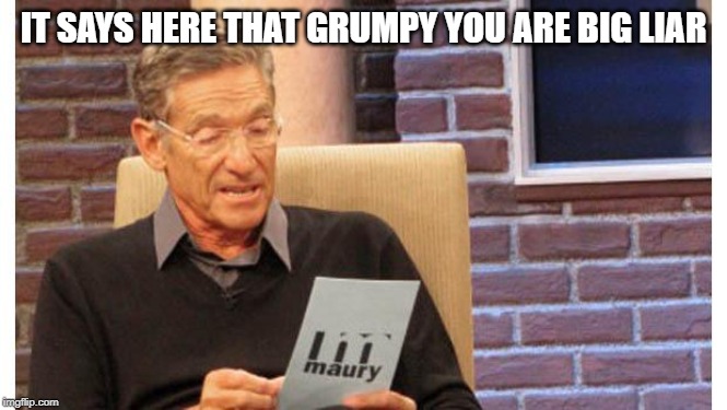 maury povich | IT SAYS HERE THAT GRUMPY YOU ARE BIG LIAR | image tagged in maury povich | made w/ Imgflip meme maker