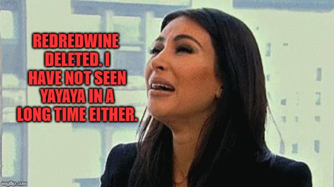 Crying Kim | REDREDWINE DELETED. I HAVE NOT SEEN YAYAYA IN A LONG TIME EITHER. | image tagged in crying kim | made w/ Imgflip meme maker