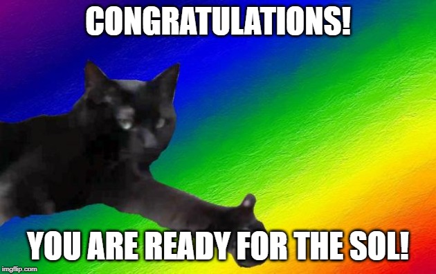 CongratsCat | CONGRATULATIONS! YOU ARE READY FOR THE SOL! | image tagged in congratscat | made w/ Imgflip meme maker