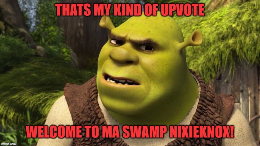 THATS MY KIND OF UPVOTE WELCOME TO MA SWAMP NIXIEKNOX! | made w/ Imgflip meme maker