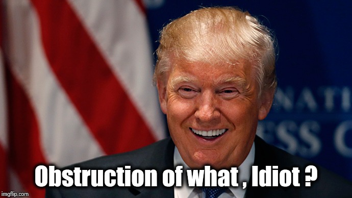 Laughing Donald Trump | Obstruction of what , Idiot ? | image tagged in laughing donald trump | made w/ Imgflip meme maker