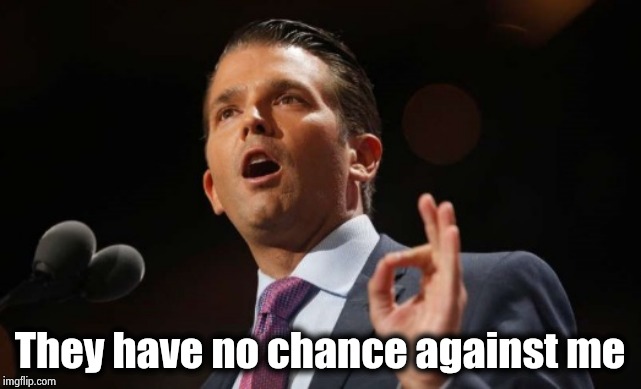 Donald Trump Jr. | They have no chance against me | image tagged in donald trump jr | made w/ Imgflip meme maker