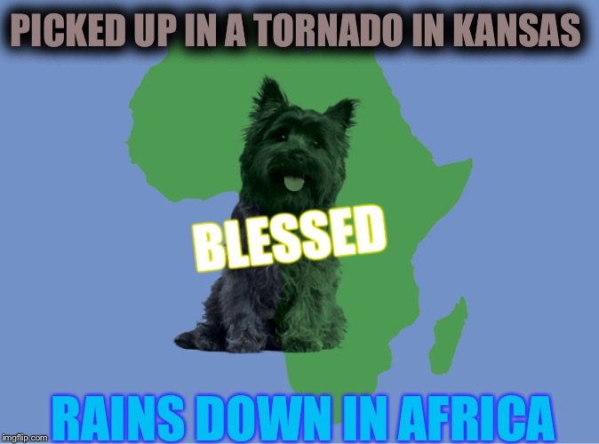 “ Hurry boy, it's waiting there for you “ | PICKED UP IN A TORNADO IN KANSAS; BLESSED; RAINS DOWN IN AFRICA | image tagged in toto,africa,the wizard of oz,80s music | made w/ Imgflip meme maker