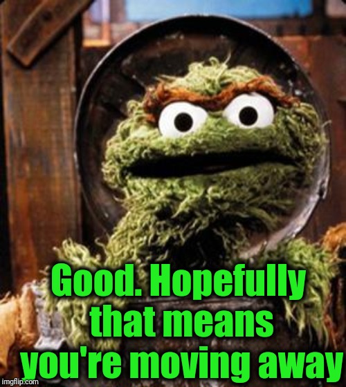 Oscar the Grouch | Good. Hopefully that means you're moving away | image tagged in oscar the grouch | made w/ Imgflip meme maker