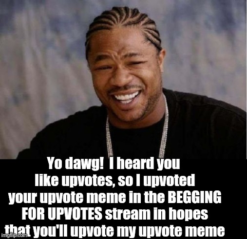 Yo Dawg Heard You Meme | Yo dawg!  I heard you like upvotes, so I upvoted your upvote meme in the BEGGING FOR UPVOTES stream in hopes that you'll upvote my upvote meme | image tagged in memes,yo dawg heard you | made w/ Imgflip meme maker