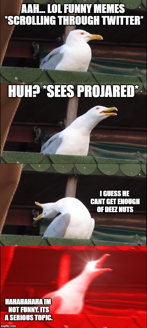 Inhaling Seagull | AAH... LOL FUNNY MEMES *SCROLLING THROUGH TWITTER*; HUH? *SEES PROJARED*; I GUESS HE CANT GET ENOUGH OF DEEZ NUTS; HAHAHAHAHA IM NOT FUNNY. ITS A SERIOUS TOPIC. | image tagged in memes,inhaling seagull | made w/ Imgflip meme maker