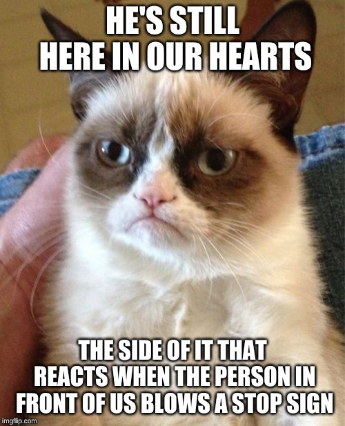Grumpy Cat Meme | HE'S STILL HERE IN OUR HEARTS; THE SIDE OF IT THAT REACTS WHEN THE PERSON IN FRONT OF US BLOWS A STOP SIGN | image tagged in memes,grumpy cat | made w/ Imgflip meme maker