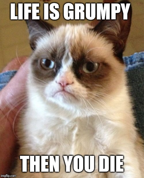 Rest in Peace, Grumpy Cat | LIFE IS GRUMPY; THEN YOU DIE | image tagged in memes,grumpy cat,rip,memes about memeing,meanwhile on imgflip,memes about memes | made w/ Imgflip meme maker