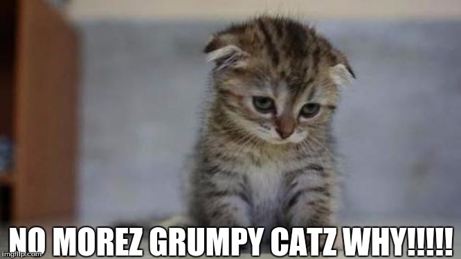 Sad kitten | NO MOREZ GRUMPY CATZ WHY!!!!! | image tagged in sad kitten | made w/ Imgflip meme maker
