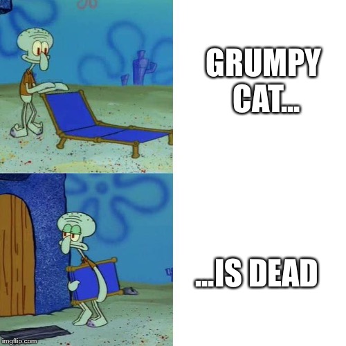 Squidward Lounge Chair Meme | GRUMPY CAT... ...IS DEAD | image tagged in squidward lounge chair meme | made w/ Imgflip meme maker